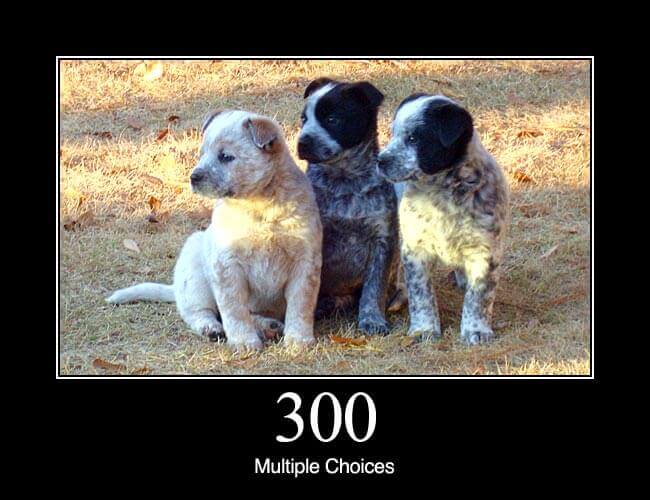 300 HTTP Status as multiple choice